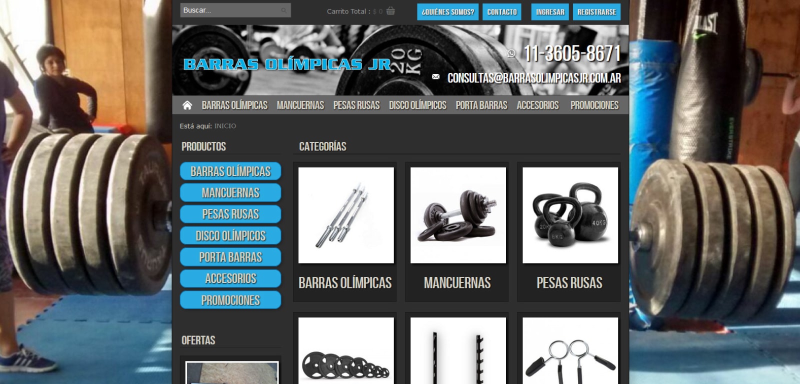 diseño web ecommerce